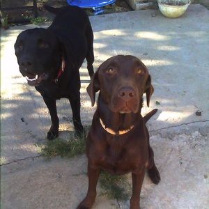 Meet your Posher, Ludmila